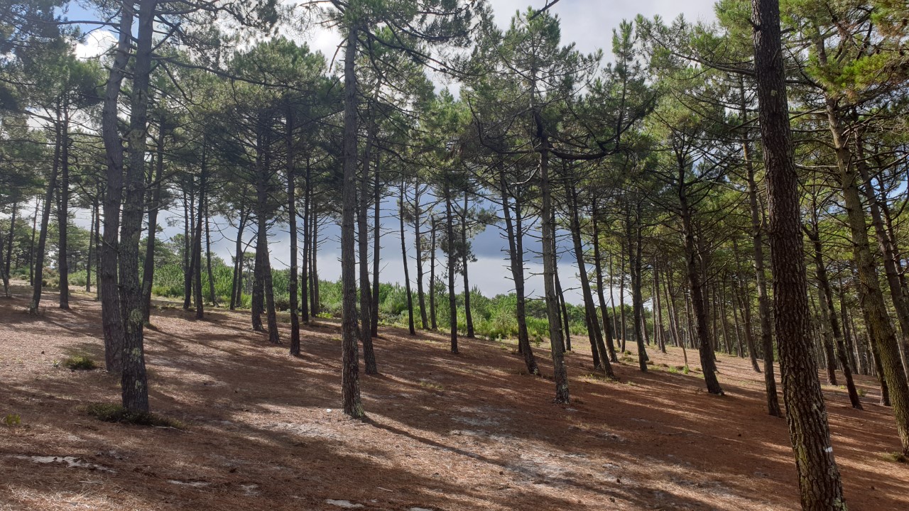 featured-portfolio-05